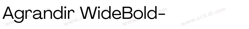 Agrandir WideBold字体转换